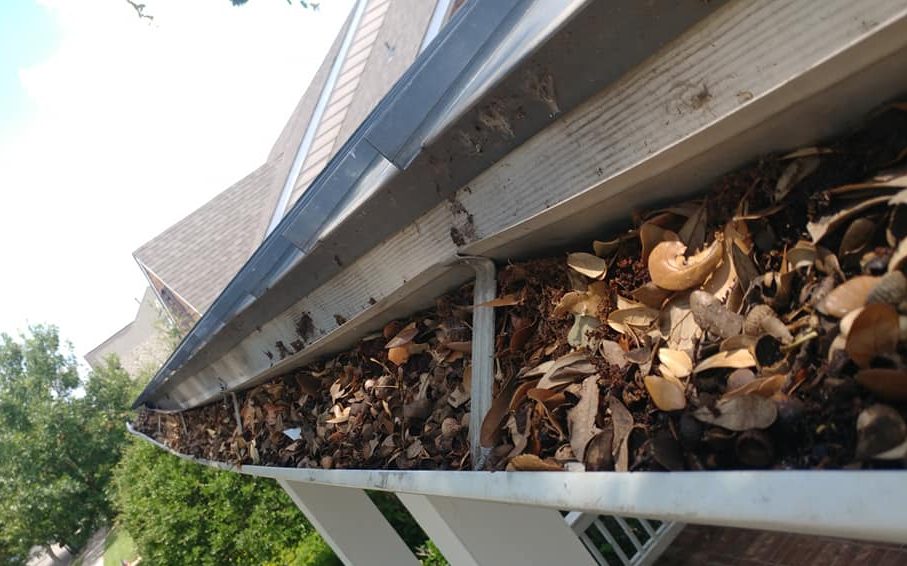 gutter filled with dry leaves and branches